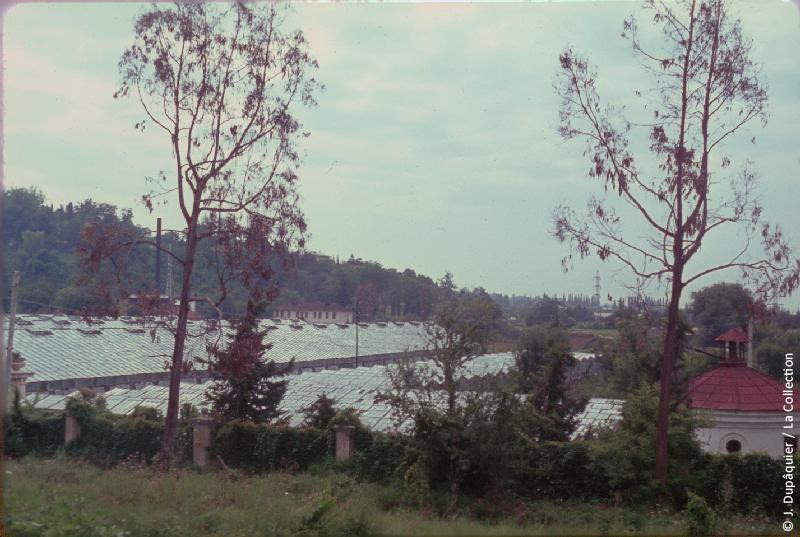 Кудепста в 1964 году
